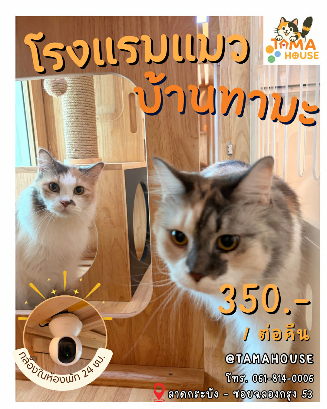 โรงแรมแมวบ้านทามะ