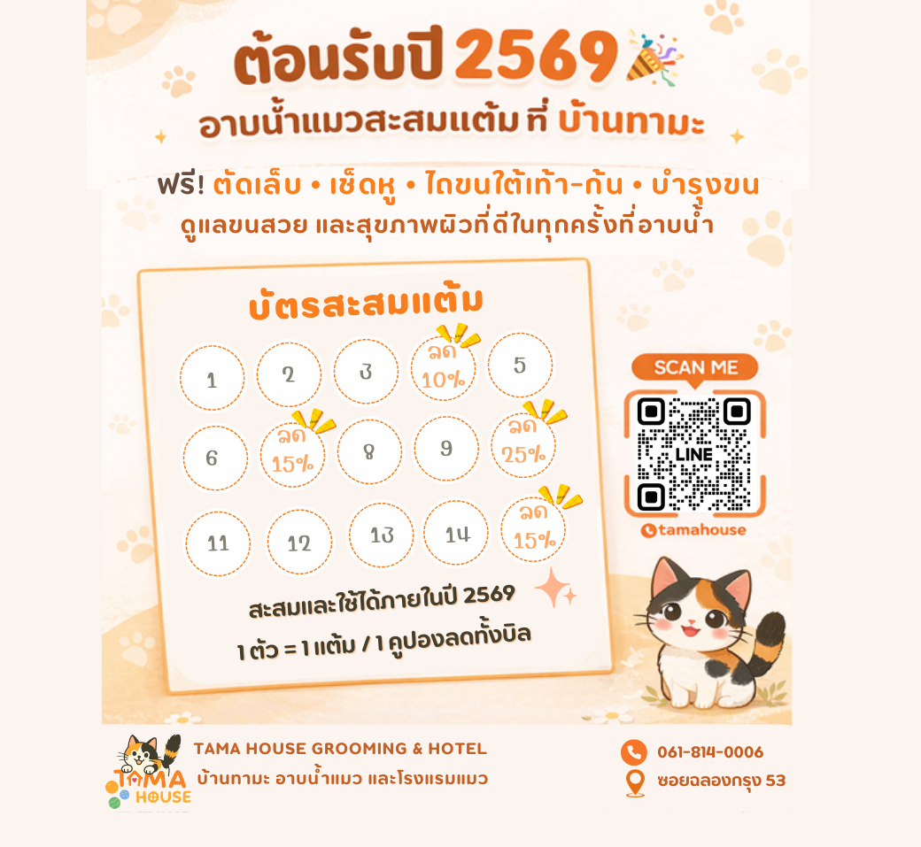 สะสมคะแนน
