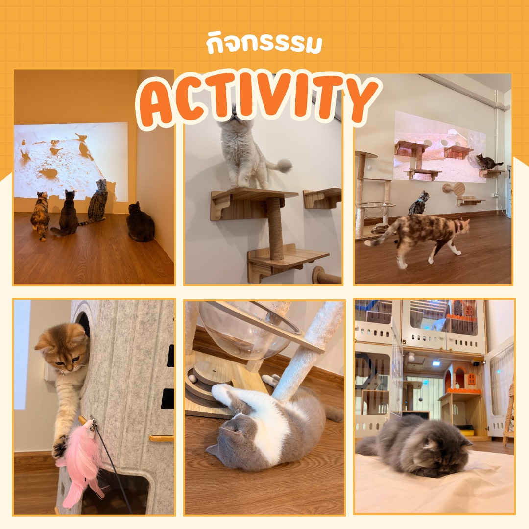 ห้องกิจกรรม Activity Zone